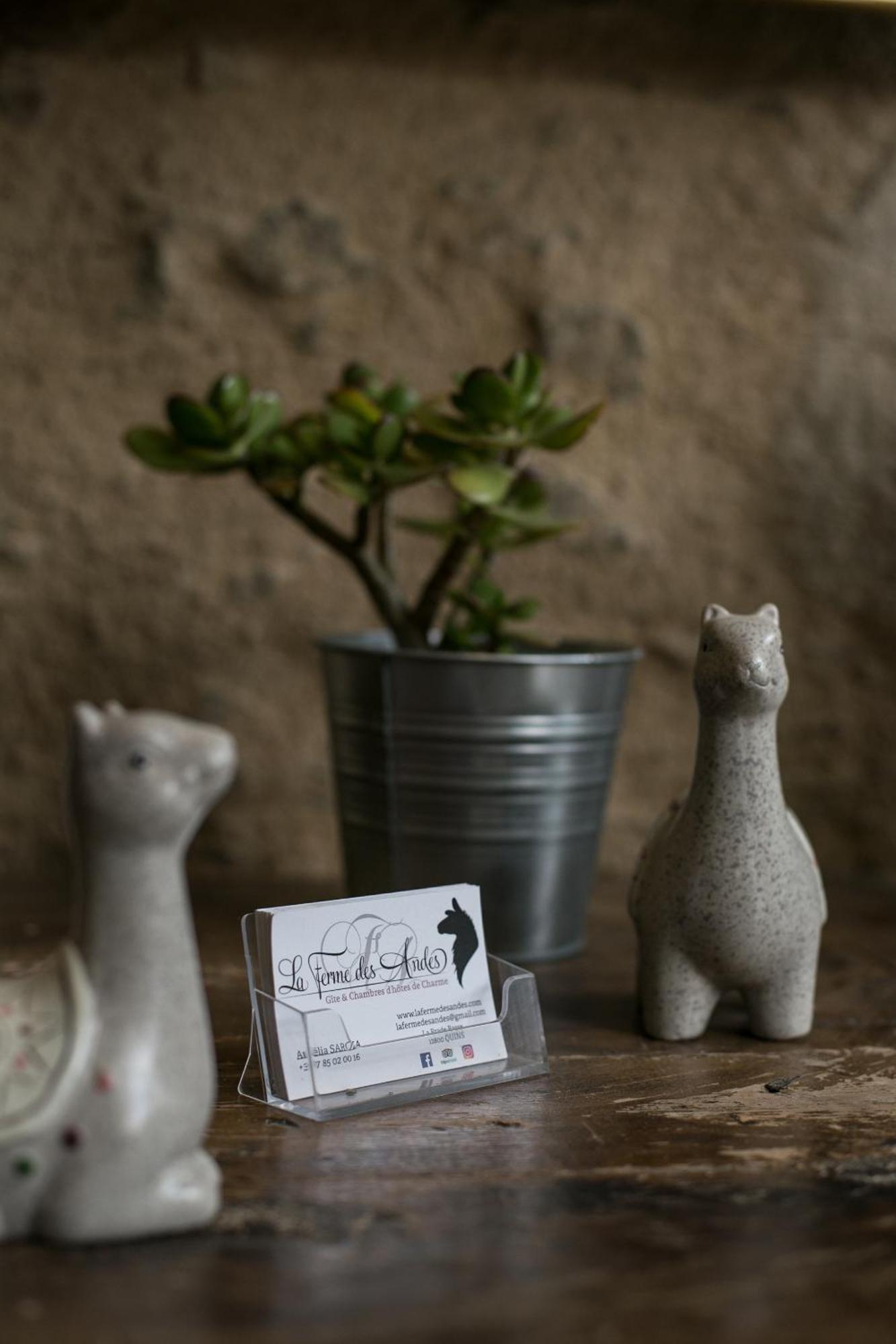 La Ferme Des Andes - Gite L'Atelier Quins Zewnętrze zdjęcie