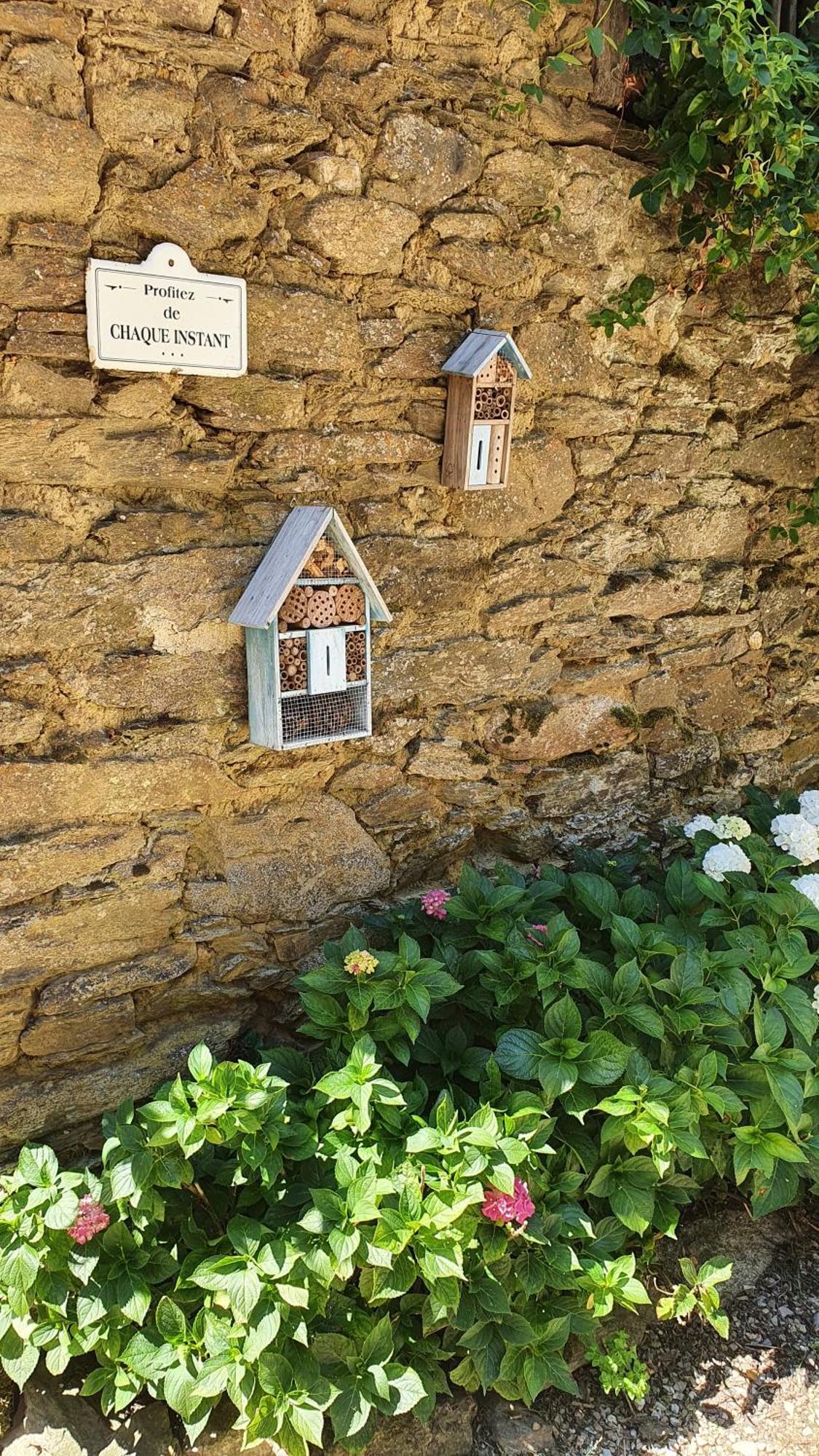 La Ferme Des Andes - Gite L'Atelier Quins Zewnętrze zdjęcie