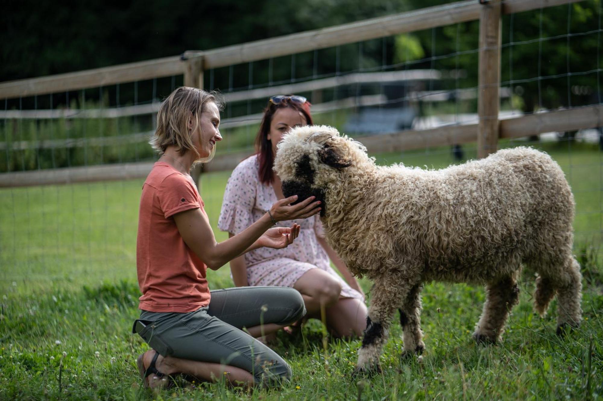 La Ferme Des Andes - Gite L'Atelier Quins Zewnętrze zdjęcie