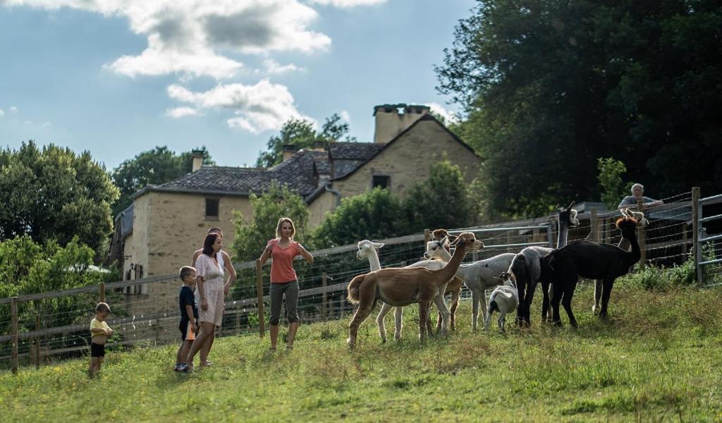 La Ferme Des Andes - Gite L'Atelier Quins Zewnętrze zdjęcie