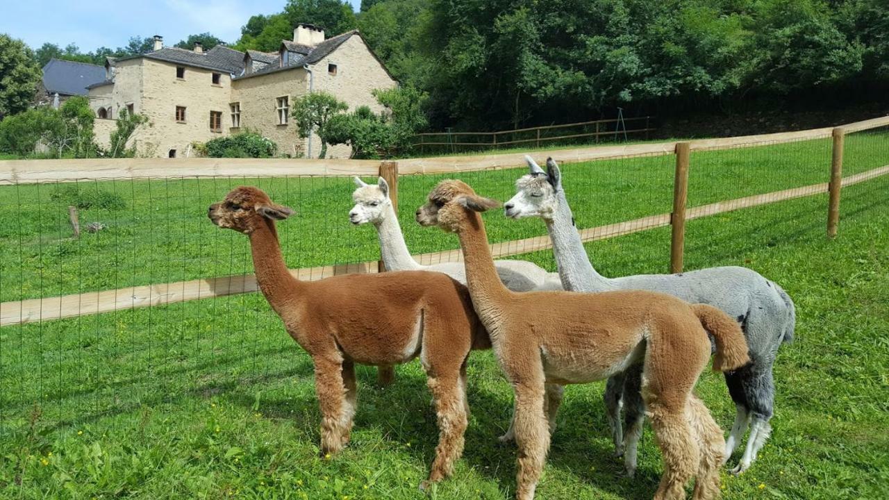 La Ferme Des Andes - Gite L'Atelier Quins Zewnętrze zdjęcie